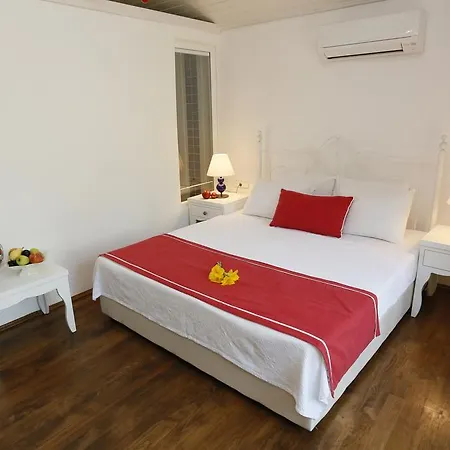 Karakus Guest house *
