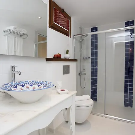 Guest house Karakus *