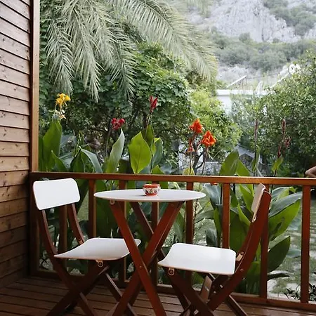Karakus Guest house *