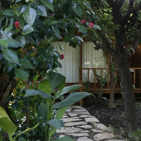 Karakus Guest house